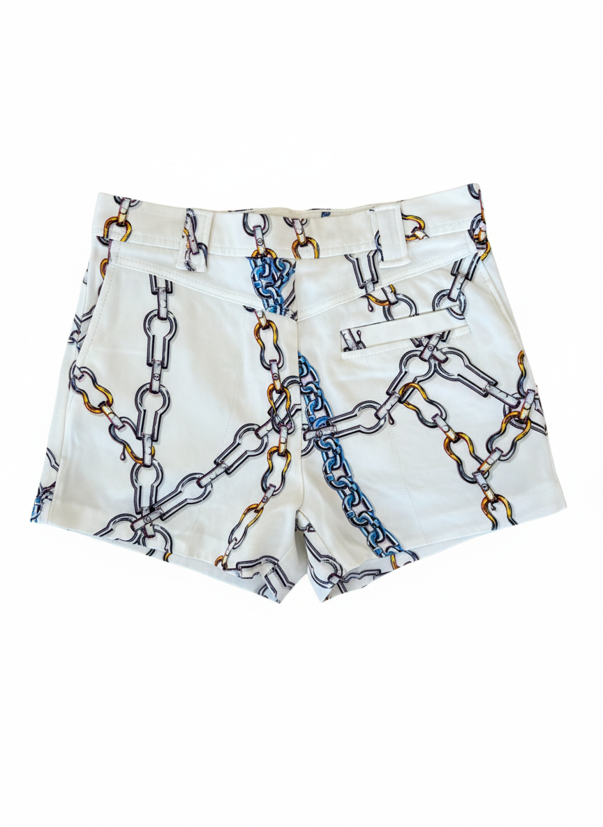 Louis Vuitton Chain Print Shorts | Size 38 | Y2K